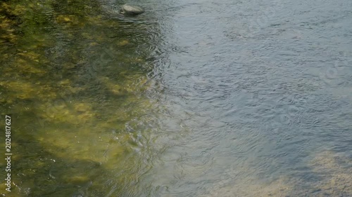 Clear Water Texture and Ripples of Fast Mountain River