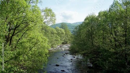 Mountain River Flowing Through Green Forest with Hills Background