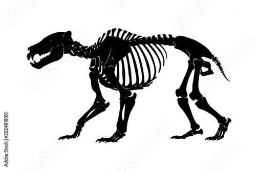 Fotografie Fossilized Skeleton of Ancient Mammal: A detailed silhouette illustration of a complete skeleton belonging to an ancient mammal, showcasing its bone structure and posture