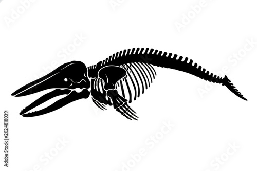 Bild auf Leinwand Ancient Marine Predator Skeleton: A stark black silhouette of an ancient marine predator skeleton, showcasing its formidable jaw, vertebral column, and tail fin