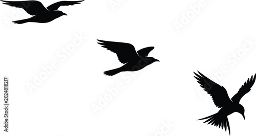 Obraz na plátně Black silhouette illustrations of three birds in flight with wings spread at dif