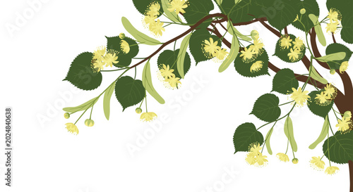 Linden tree branches reach across the scene with beautiful heart-shaped green leaves and delicate yellow blossoms.