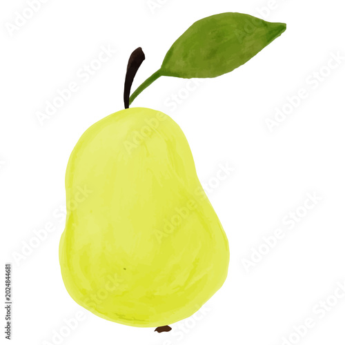 Watercolor Hand Painted Ripe Yellow Pear Healthy Fruit