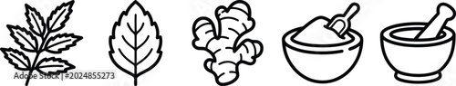 Line drawing of leaves ginger root and mortar and pestle set on white background