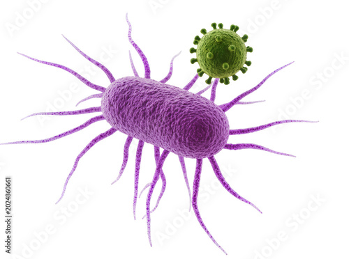 Fotografie Isolated 3D visualization of purple bacterial cell with long flagella attacked b