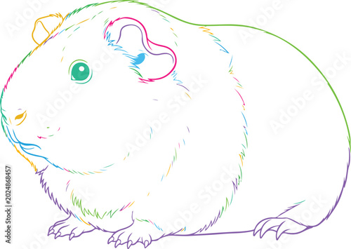 Photos Guinea pig outline drawing vector illustration colorful sketchy lines forming domestic rodent silhouette animal pet sketch on transparent background