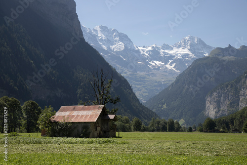 Barn in lauterbrunnen valley with snowy alps background