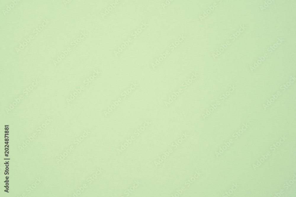 Fototapeta premium Pale green paper showing a smooth surface with subtle texture