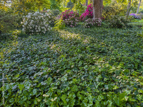 Scenic view of green meadow in park