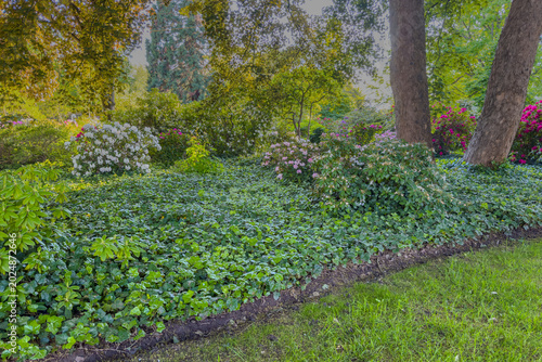 Scenic view of green meadow in park