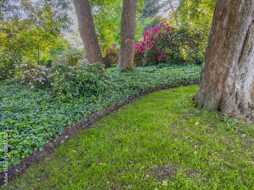 Scenic view of green meadow in park