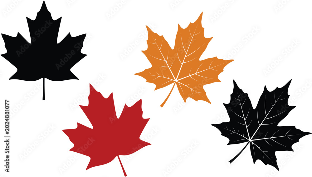 Obraz premium Canada day vector four maple leaves in red black and gold tones