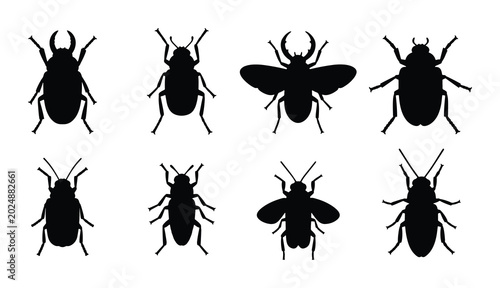 Bild auf Leinwand Set of 8 Black Beetle Silhouettes, Insect Vector Icons, Entomology Collection fo