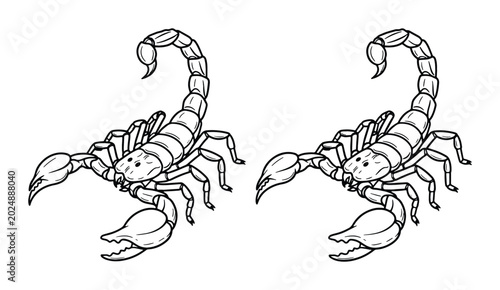 Tableau sur toile Scorpion Vector Art, Arachnid Illustration, Desert Wildlife, Black and White Lin