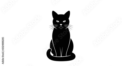 Photography Black cat silhouette on white background