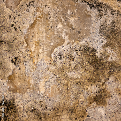 Ancient mineral texture with eroded stone surface and organic weathered patterns. Detail of a historic wall at Fortaleza do Monte in Macau.