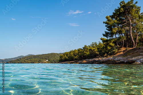 Foto Transparent sea water near forest coastline in Greece