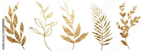 Foto Golden leaf stalks decorating cards, banners, events, hand-drawn illustrations o