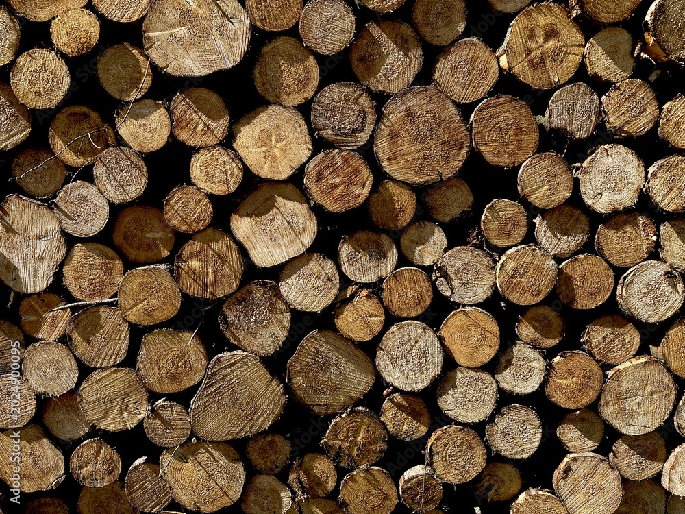 Fototapeta premium textured background of round sawn cuts of wooden firing lines of different diameters, neatly stacked in a woodpile