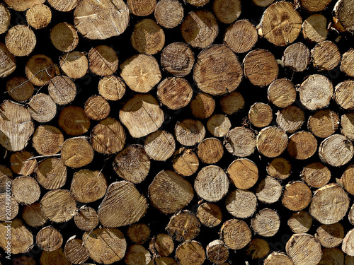 Tableau sur toile textured background of round sawn cuts of wooden firing lines of different diame