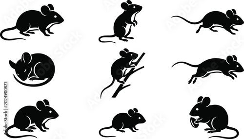 Schilderij op canvas Hantavirus Set of Black Silhouette Icons Illustrating Various Poses and Actions