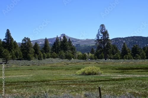 beautiful forest, mountains and rivers off highway 88