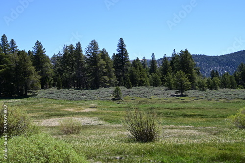 beautiful forest, mountains and rivers off highway 88