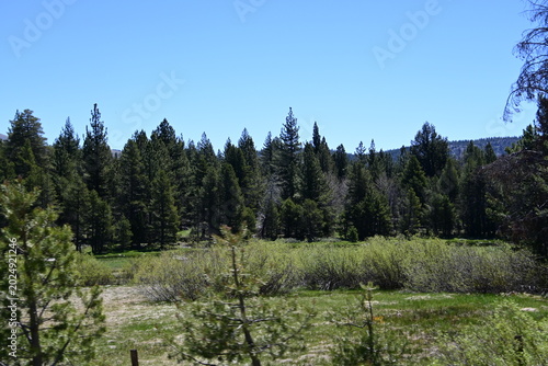 beautiful forest, mountains and rivers off highway 88