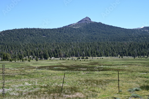 beautiful forest, mountains and rivers off highway 88