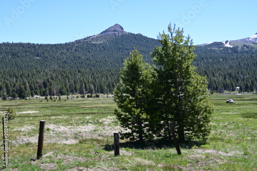beautiful forest, mountains and rivers off highway 88
