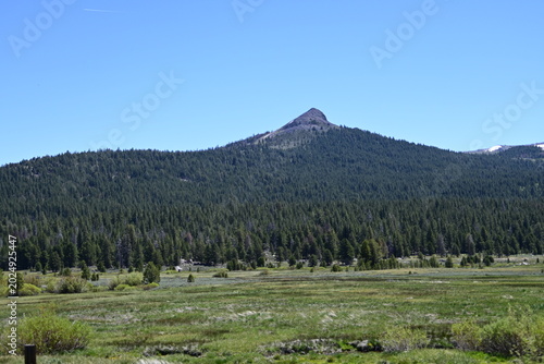 beautiful forest, mountains and rivers off highway 88