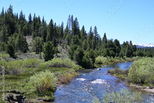 beautiful forest, mountains and rivers off highway 88