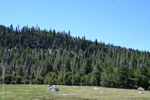 beautiful forest, mountains and rivers off highway 88