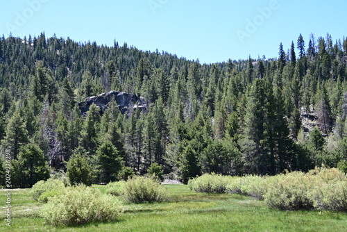 beautiful forest, mountains and rivers off highway 88