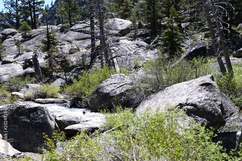 beautiful forest, mountains and rivers off highway 88