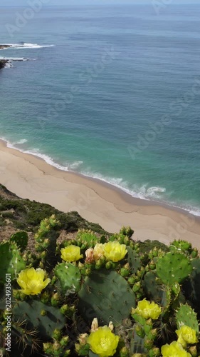 Vertical ocean footage with calm turquoise sea above and coastal vegetation below, clean copy space for text overlay. Slow right-to-left motion camera, peaceful nature background. 9:16