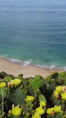 Vertical ocean footage with calm turquoise sea above and coastal vegetation below, clean copy space for text overlay. Static camera, peaceful nature background. 9:16