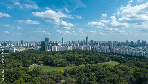 晴れた昼の東京で高層ビルと緑の公園が広がる都市風景