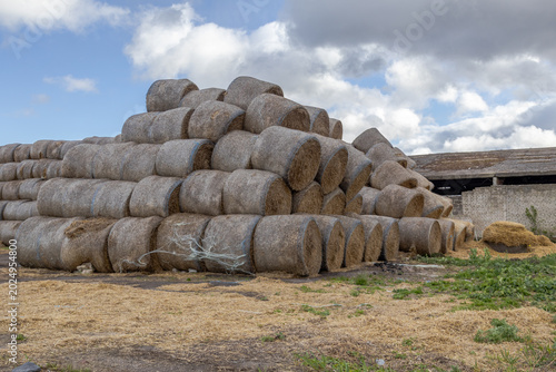 Foto Large Stacks of Hay Bales Placed in a Farm Field With Cloudy Sky in the Backgrou