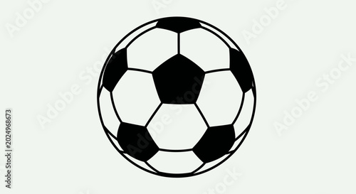 Foto Classic Black and White Soccer Ball Isolated