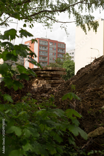 Billede på lærred Leafy screen partially concealing rubble mound and apartment facade, muted light