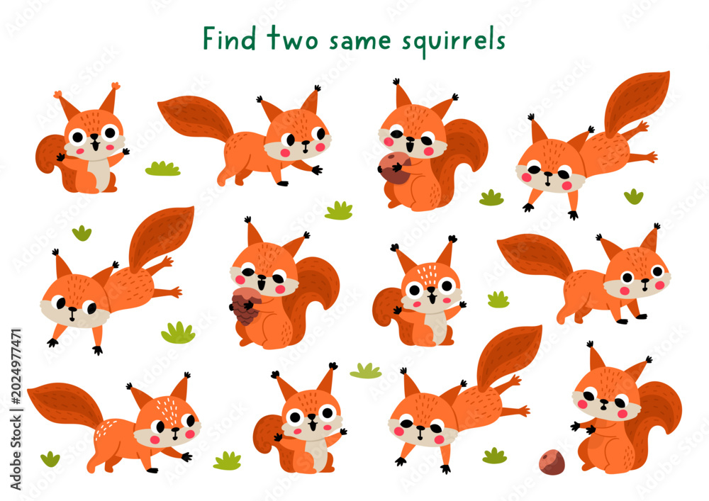Obraz premium Find two same squirrels. Forest animals matching activity for children. Woodland educational quiz worksheet for kids for attention skills. Wildlife printable game with cute animal