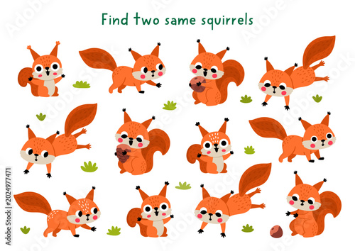 Find two same squirrels. Forest animals matching activity for children. Woodland educational quiz worksheet for kids for attention skills. Wildlife printable game with cute animal