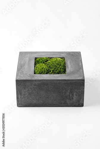 Modern dark grey concrete block planter with bright green moss inside isolated on pure white background for biophilic design and minimalist eco concepts
