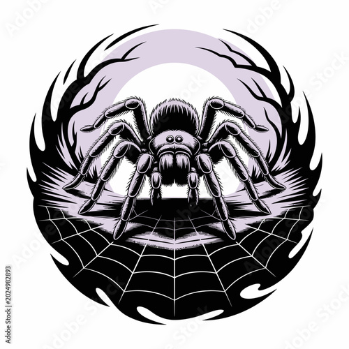 Photos Large Black Spider on Web Closeup.