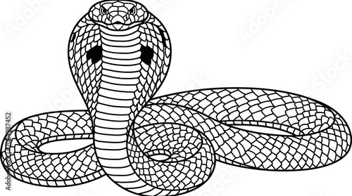 Quadro em tela King Cobra Snake Reptile Drawing Outline