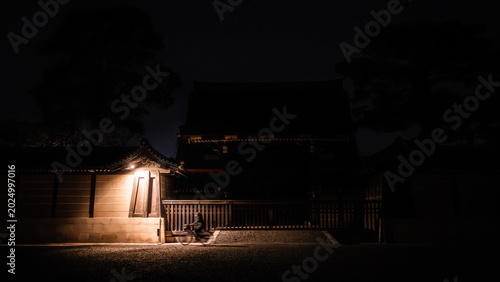 Foto Blurred cyclist passing illuminated traditional Japanese gate building in near t