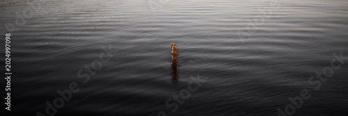 Obraz na plátne Lone rusty metal post rising from calm dark water surface in wide panoramic seas