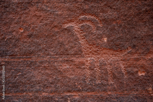 Bild auf Leinwand Animal Petroglyph Carved Into The Wall Of Wire Pass