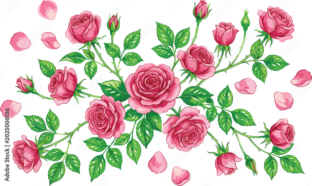 Fototapeta premium Pink Rose Flower Branch Vector Set with Blooming Floral Buds and Falling Petals for Wedding Invitations, Greeting Cards, and Romantic Graphic Designs